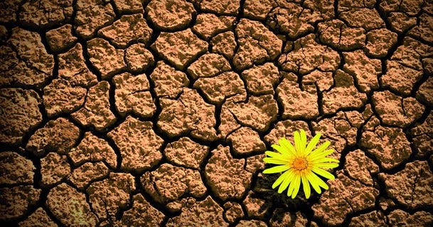 LEGACYouth: Rousing Resilience (Part 1)