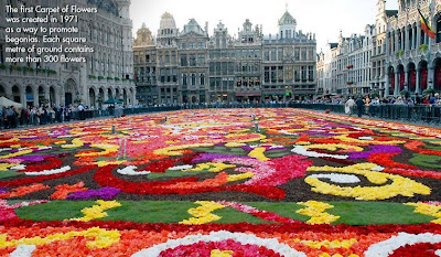 Brussells in bloom