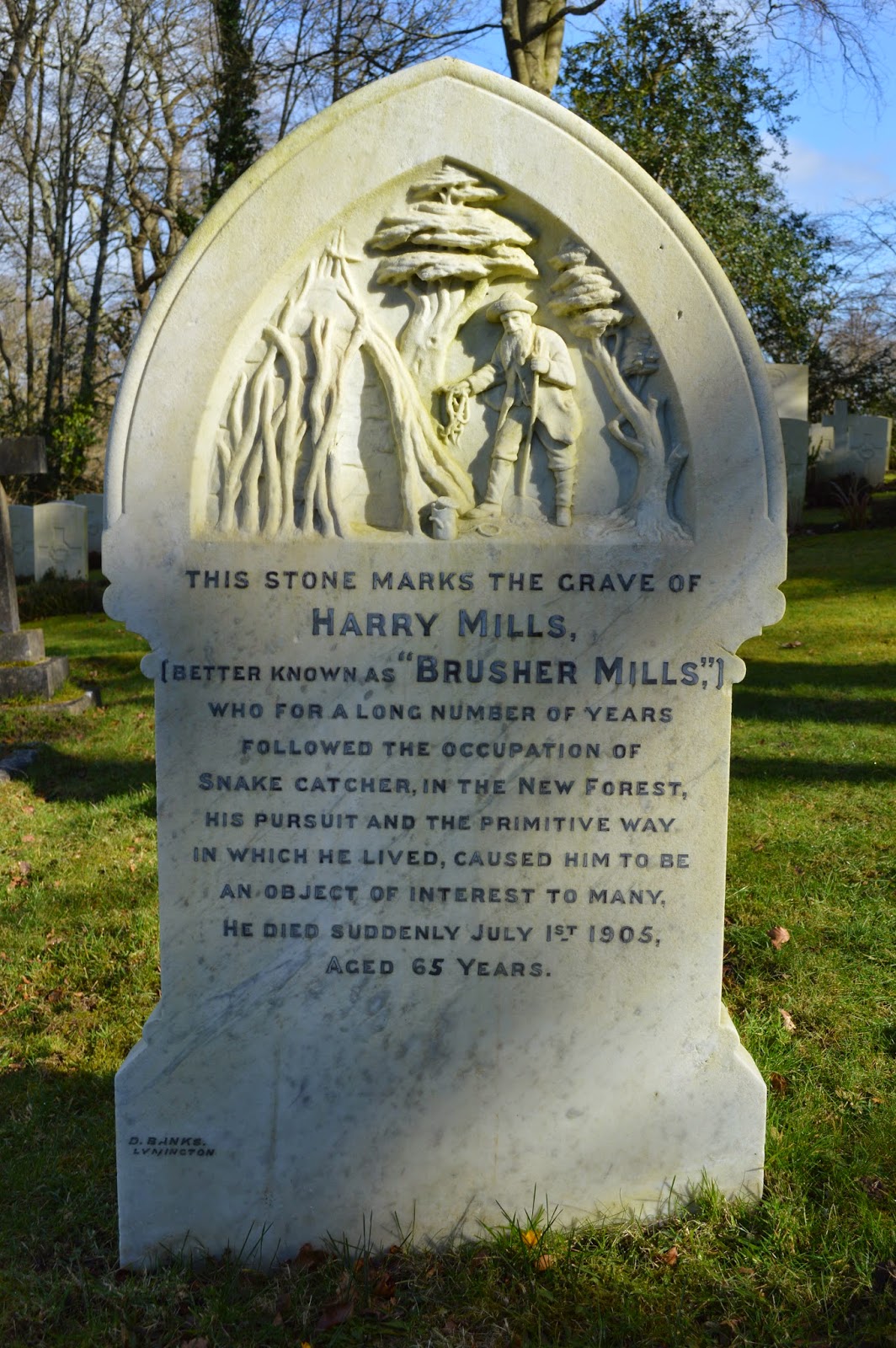 Random encounters with the unusual The New Forest Snake Catcher