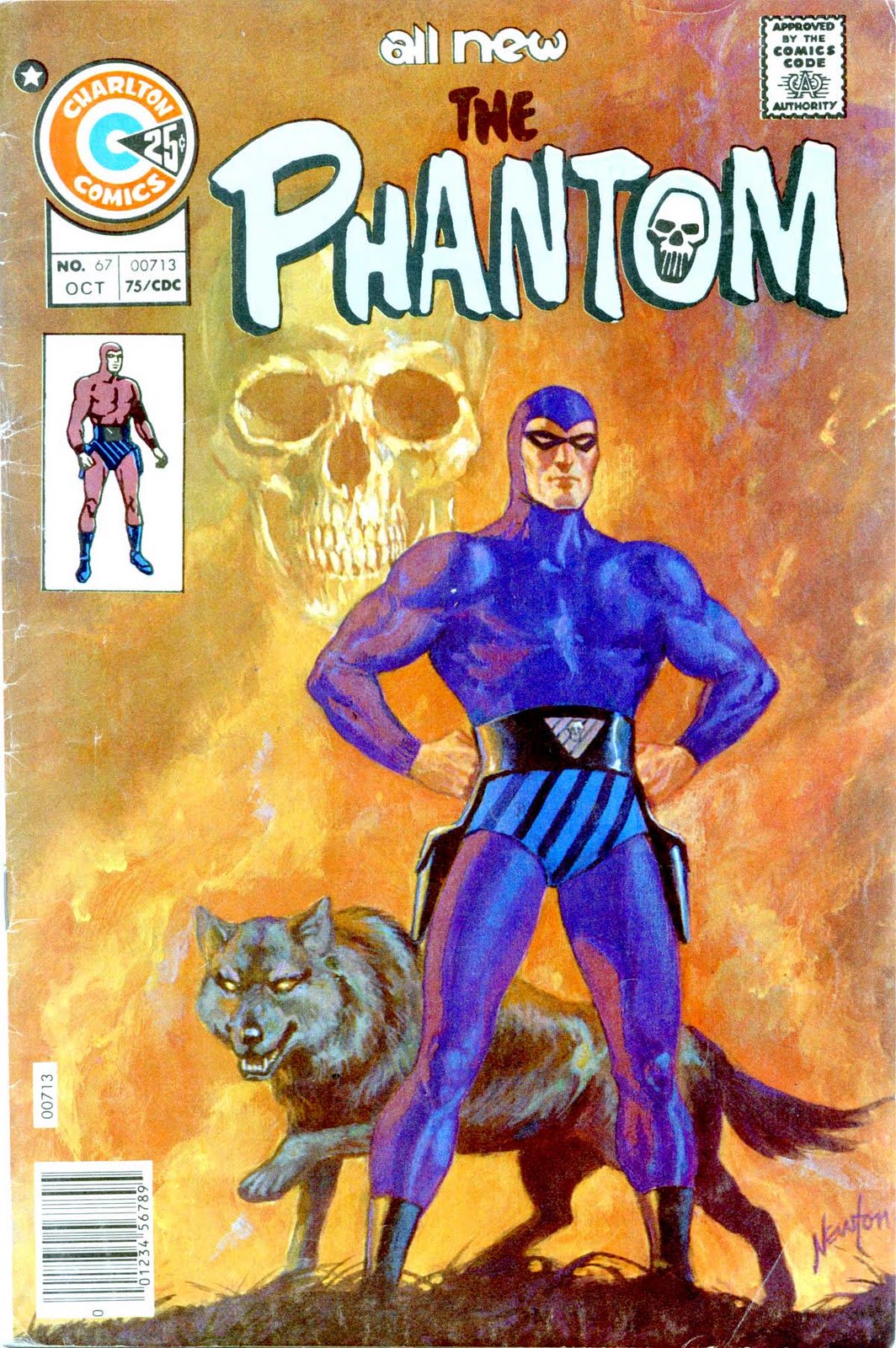 The Phantom v2 #67 charlton comic book cover art by Don Newton
