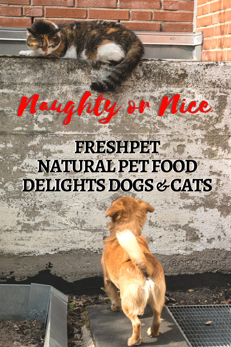 Naughty or Nice? Freshpet Natural Pet Food Treats Delight Cats and Dogs