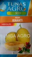 Melon Kinanti murah, perawatan mudah, rasa manis, daging keras, kulit kuning, Kinanti, Melon Kinanti, Melon Jingga, Melon Daging Jingga, Tunas Agro, Benih, Bibit, Tanaman, Budidaya, Harga murah, Petani