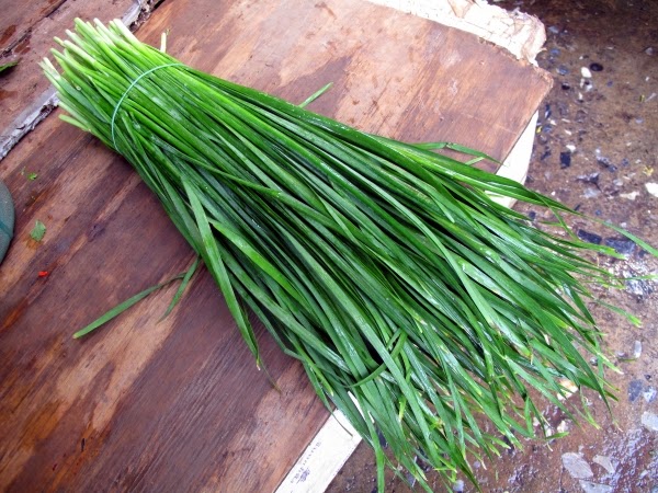 harvested chives