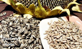 Benefícios da semente de girasol