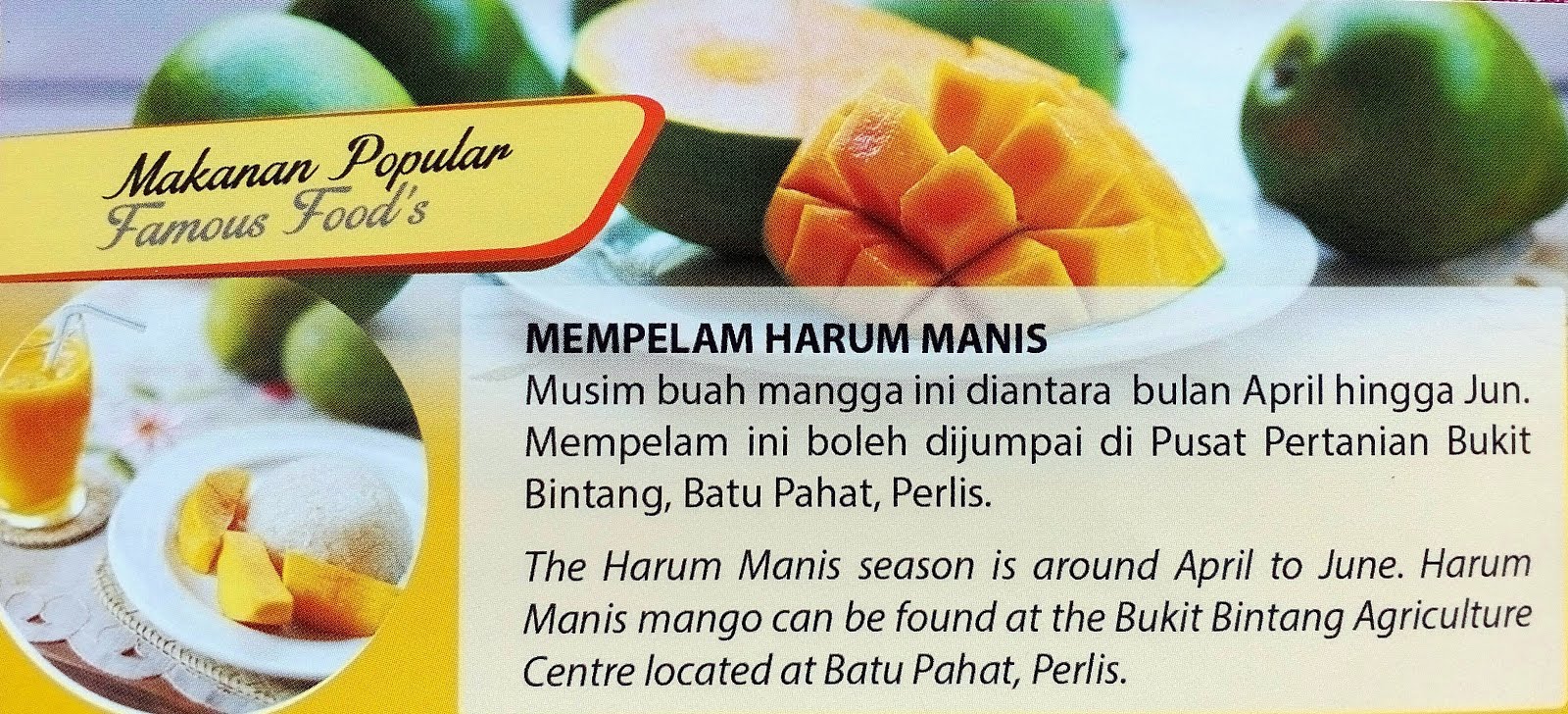 Perlis Mango Plantation