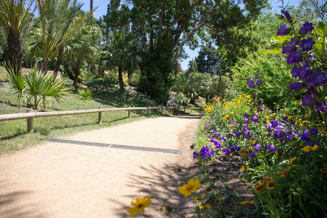 Ботанический сад Маримуртра (Jardí Botànic Marimurtra)