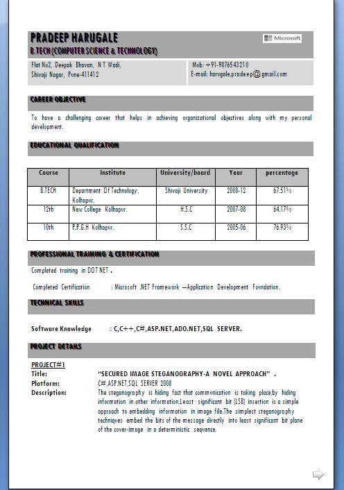 Qa Resume Sample