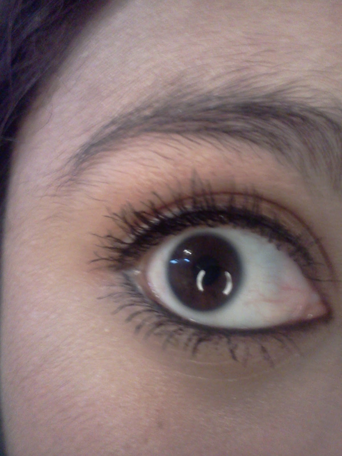 A Beauty Addict's Diary Eyebrow Threading