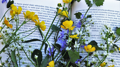 Día del Libro: comienza la estación literaria