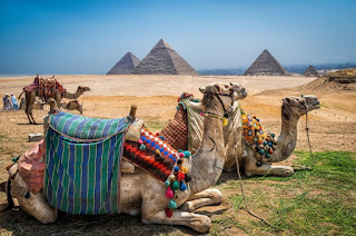 Cairo Tours from Port Said 