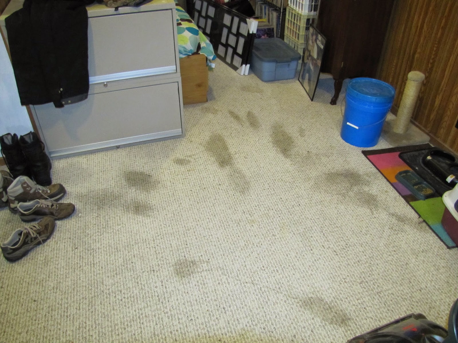 Remove pet odor from carpet