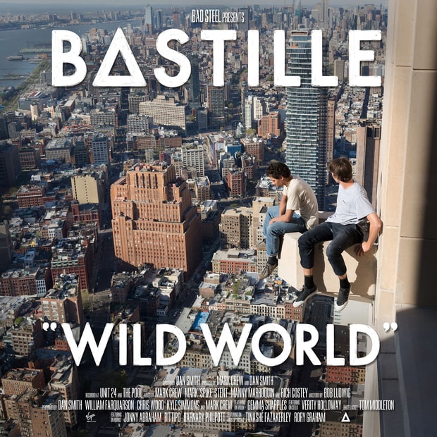wild world bastille album download