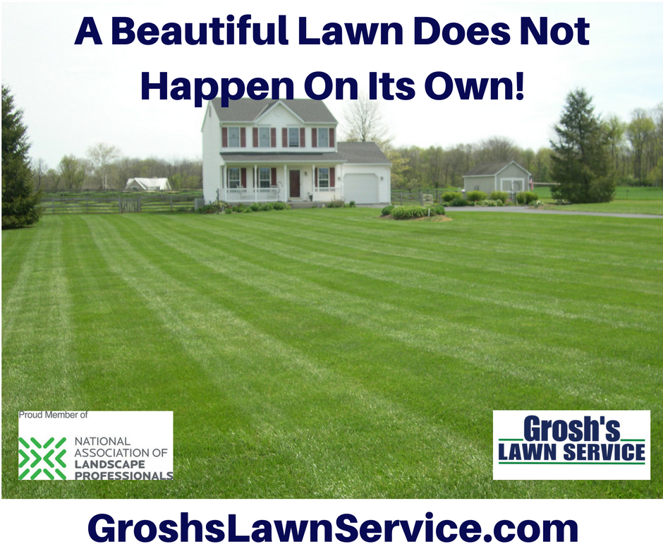 Groshs Lawn Service Westfields Maugans Meadows Paradise Manor