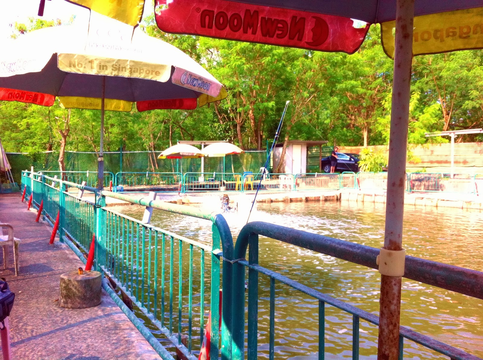 Fishing Empire 26 October 2013 Punggol Auntie Pond