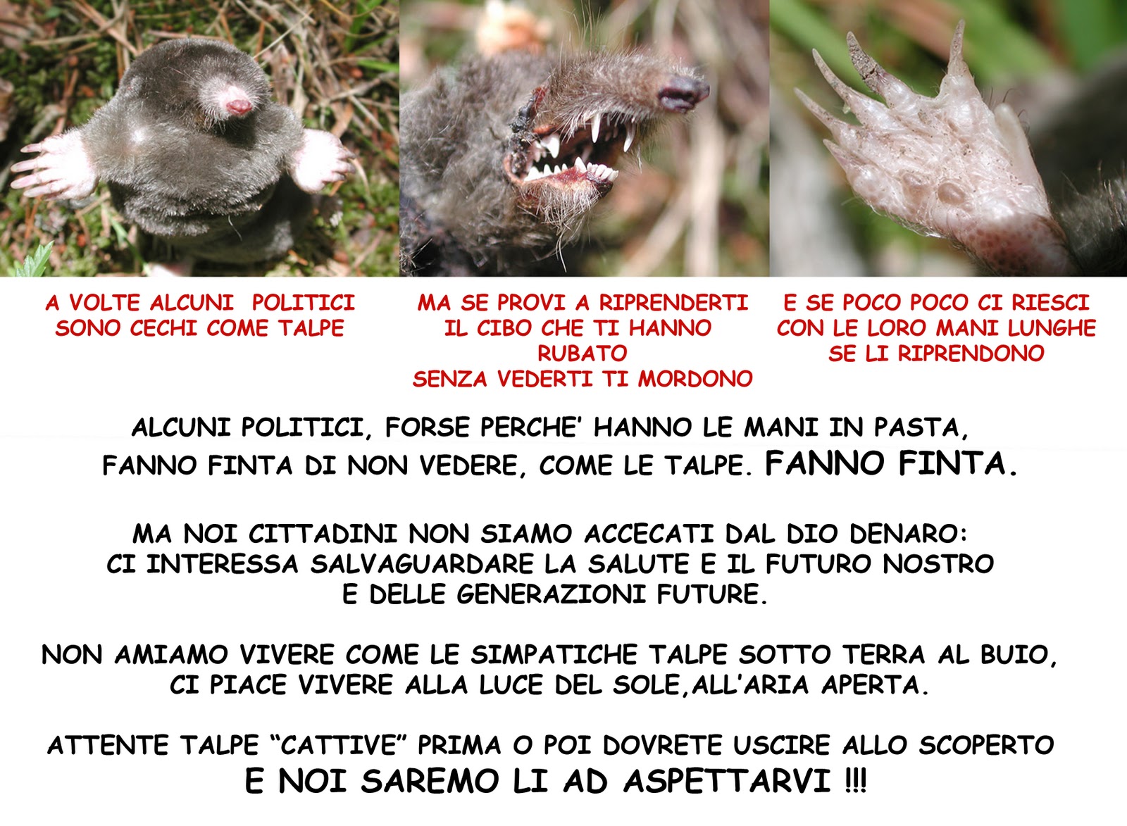 NUOVO SENSO CIVICO LA TALPA DEDICATO A QUALCHE SINDACO CHE SI COMPORTA COME LA NOSTRA AMICA TALPA