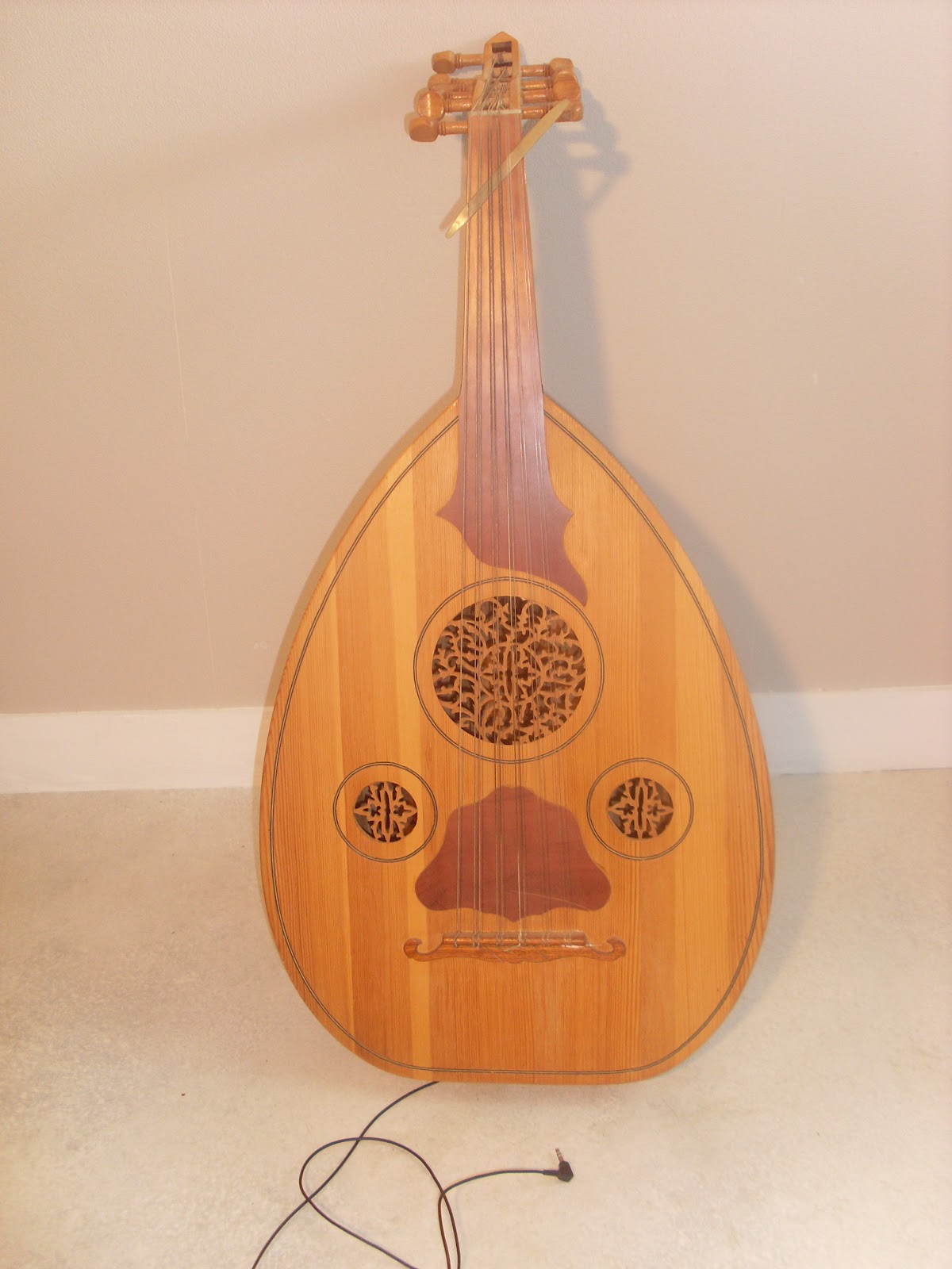 Collection d'instruments à cordes Photo n°22 Oud