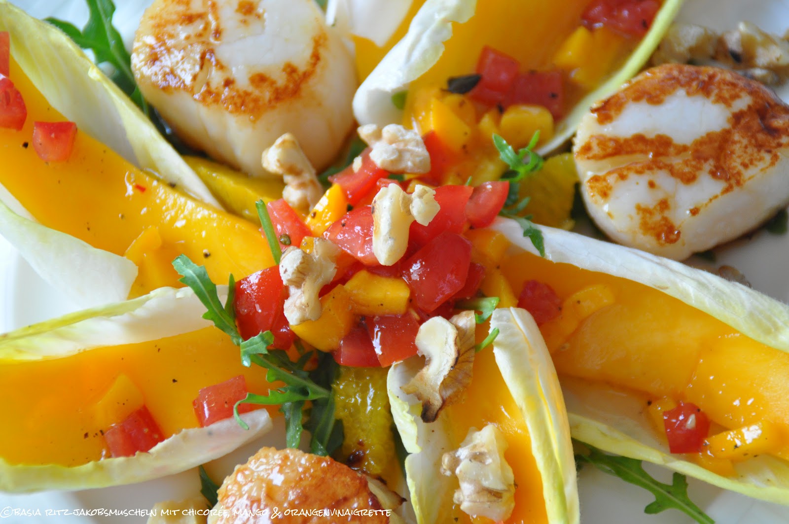 basias feinschmekka: jakobsmuscheln mit chicorée, mango ...