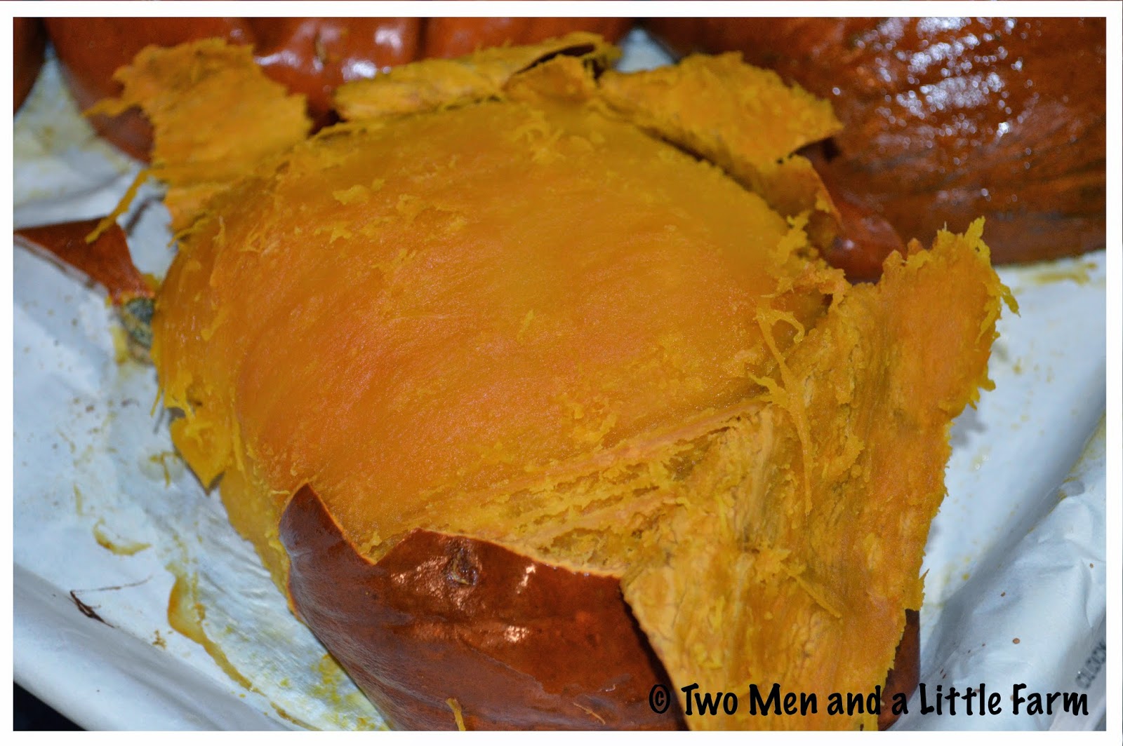 Two Men and a Little Farm HOW TO ROAST SUGAR PUMPKINS