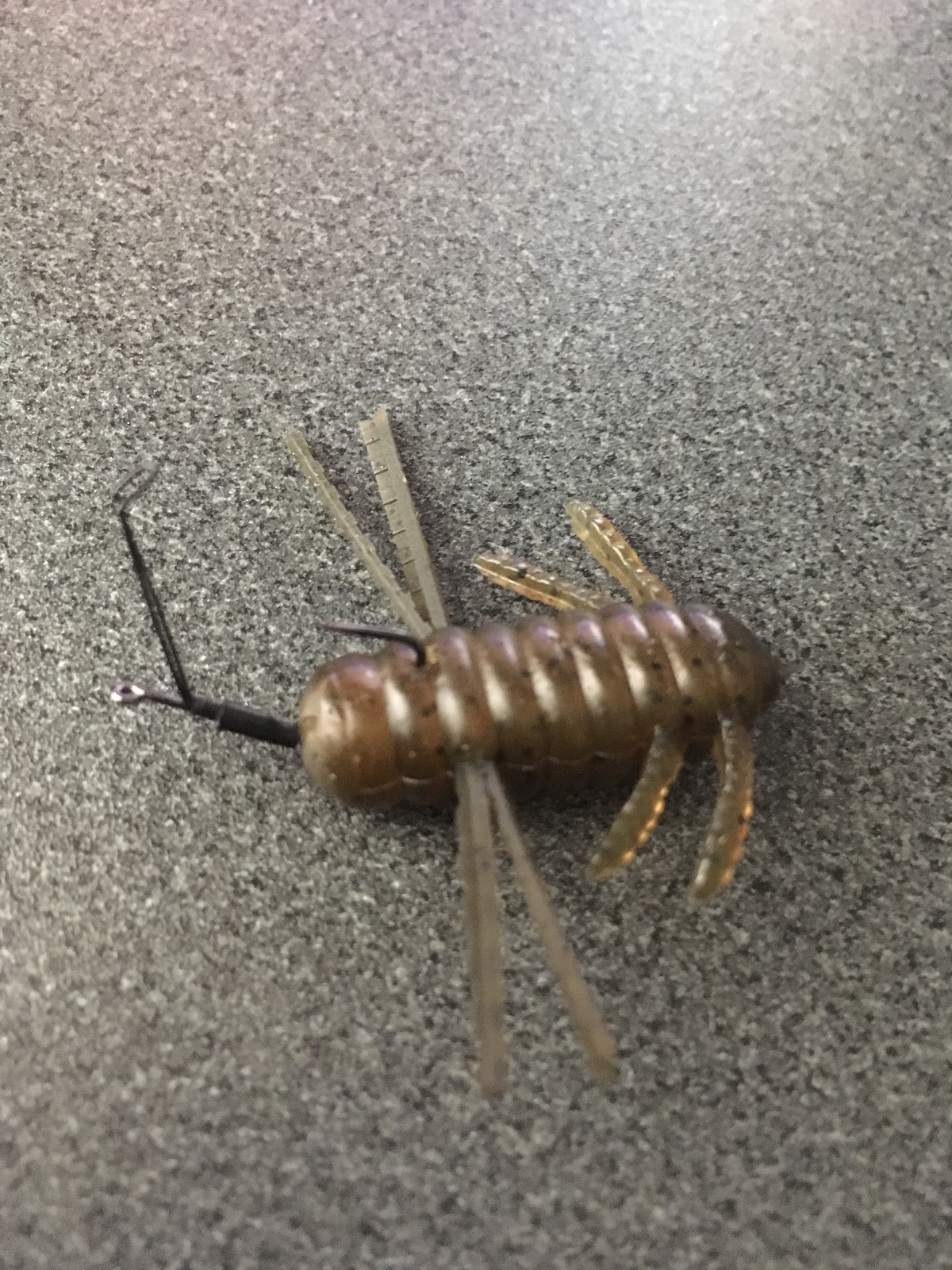 荒川ダイアリー ゆるつり ゆるポタ バークレイ 青木虫