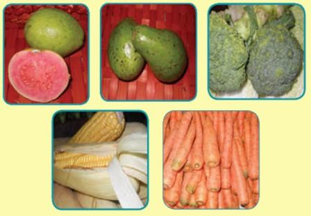buah dan sayur