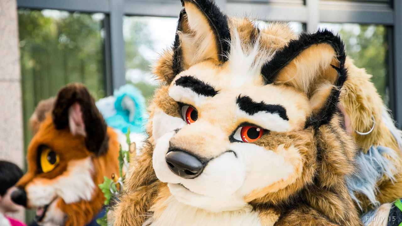 ¿Qué es el FURRY FANDOM?