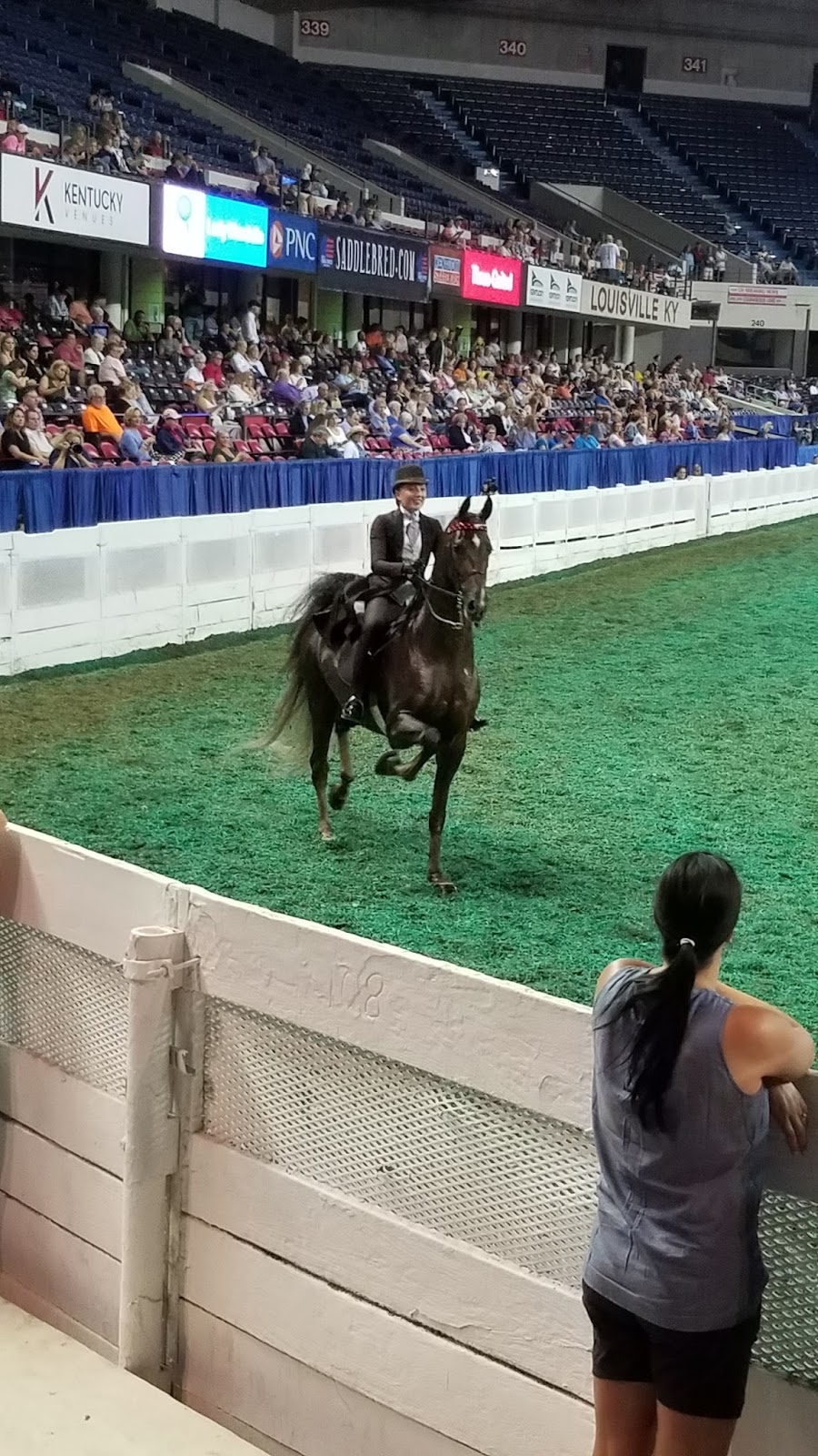 The American Saddlebred 8/25/17 World's Championship Horse Show at