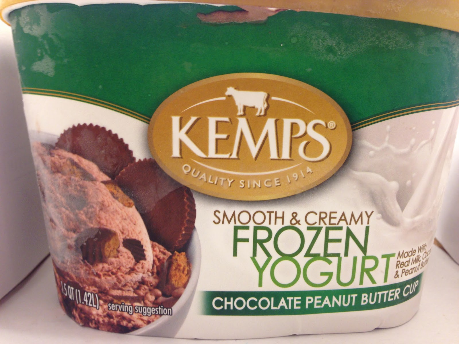 Crazy Food Dude Review Kemp's Chocolate Peanut Butter Cup Frozen Yogurt