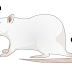 Alergia pré-natal faz ratos fêmeas se comportarem como ratos machos