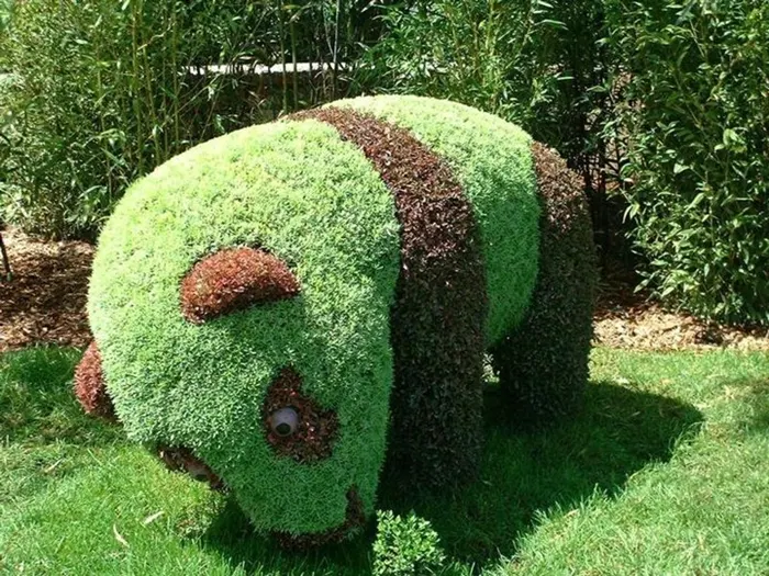 Scultura vegetale | L'arte Topiaria