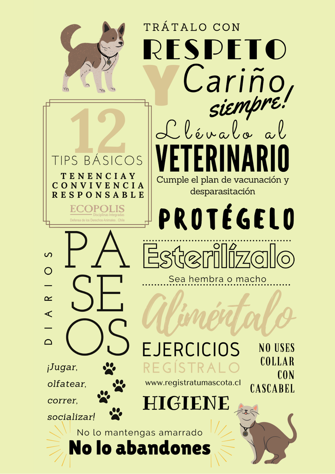 TIPS BÁSICOS DE TENENCIA RESPONSABLE