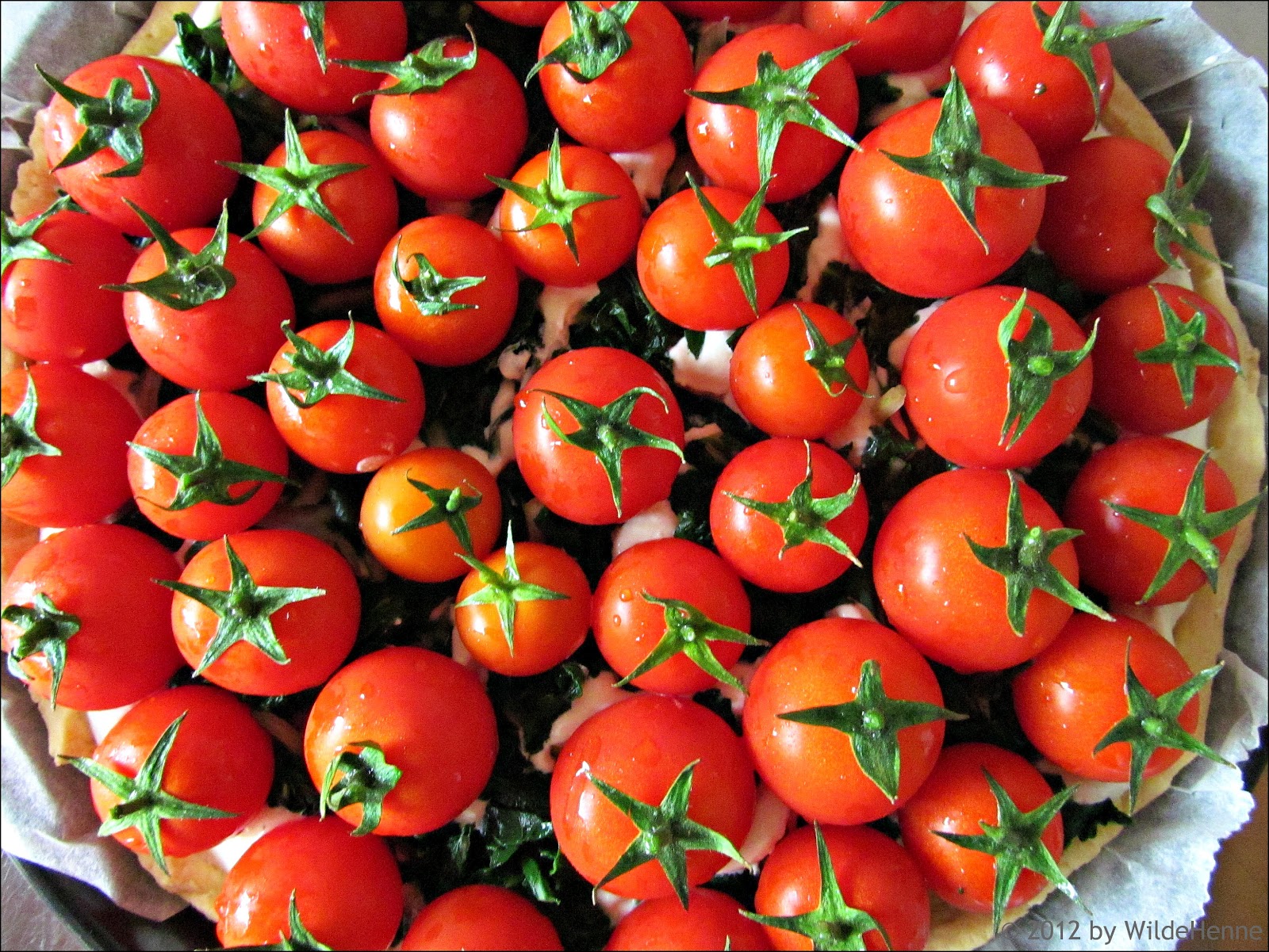 Tomatentarte mit Zugabe – Hühnerküche – Rezepte, Geschichten und mehr
