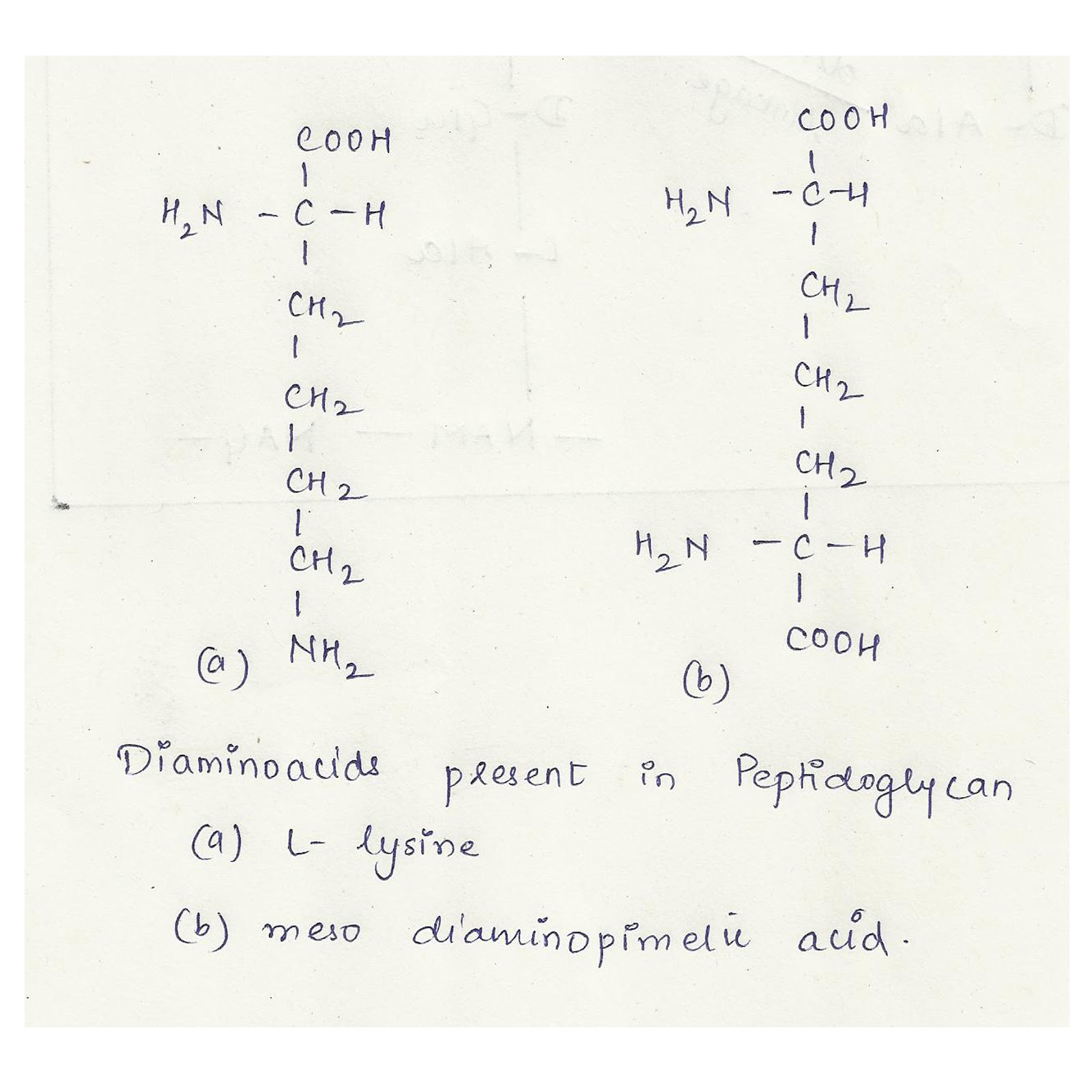 download free cell wall download free cell wall