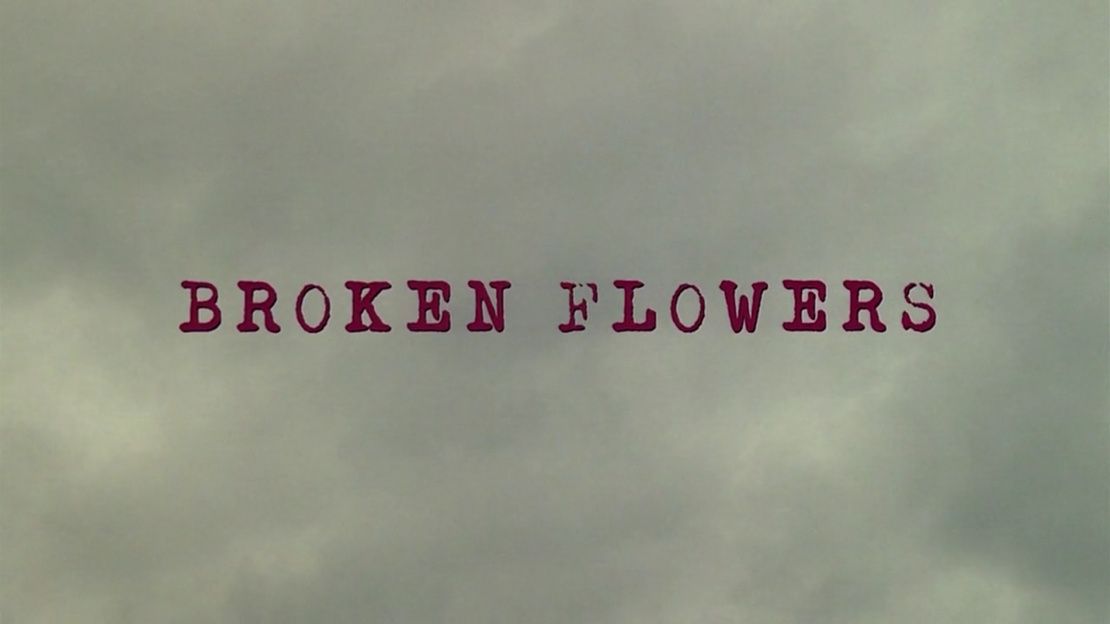 Film Broken Flowers