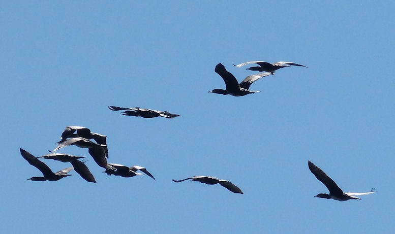 N0by Page 8 Chan 52136435 Rssing Com