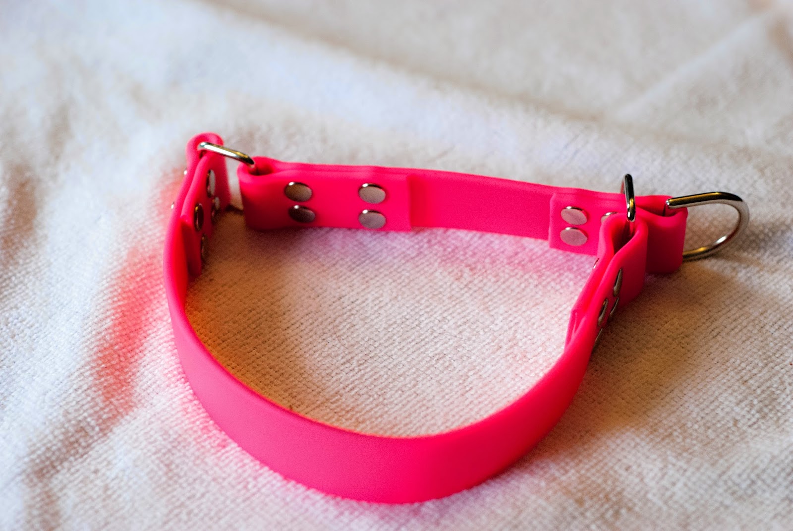 Biothane bert collars and leads Clearance