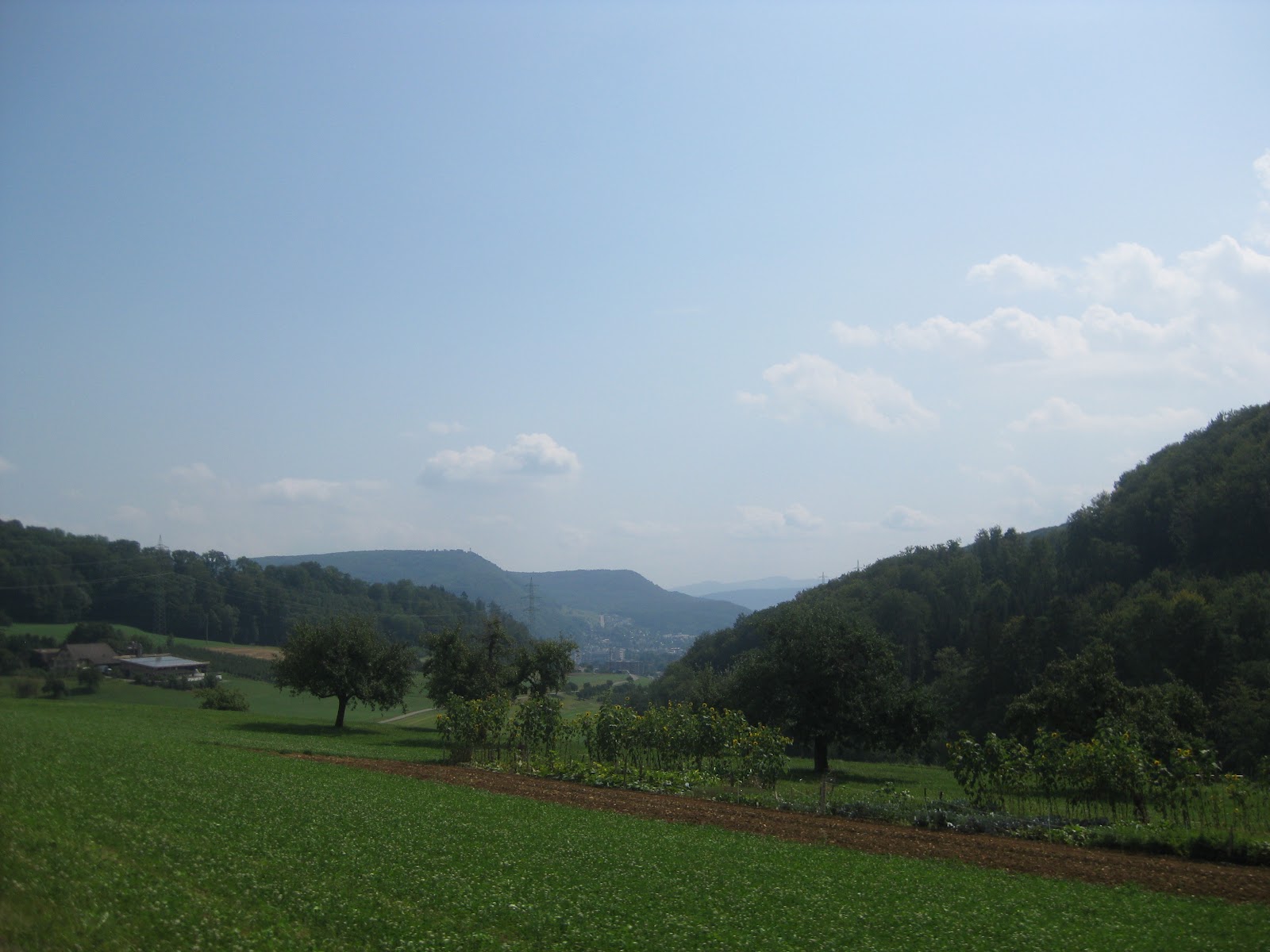 Olivetrip Basel Biel/Bienne