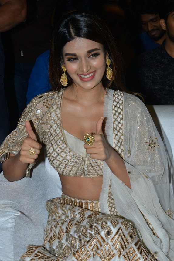 Nidhhi Agerwal at Mr.Majnu Pre Release