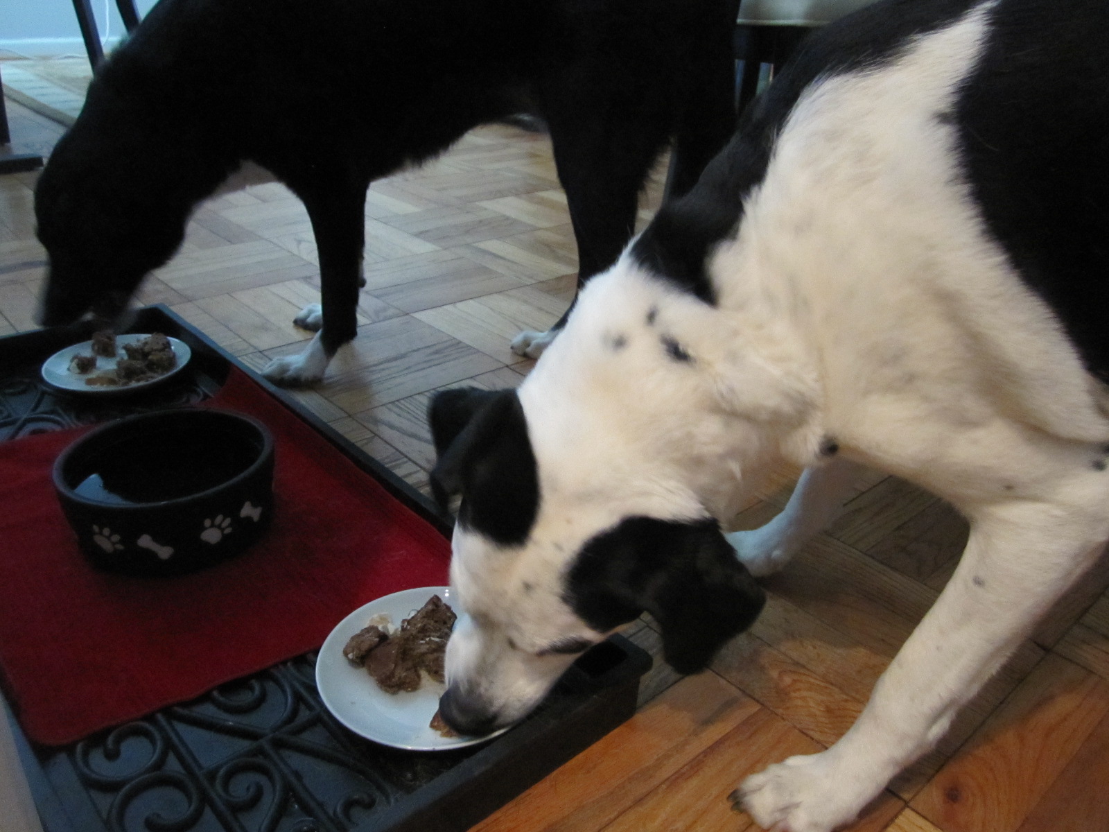 Sophie in the Kitchen Banana Dog Cake