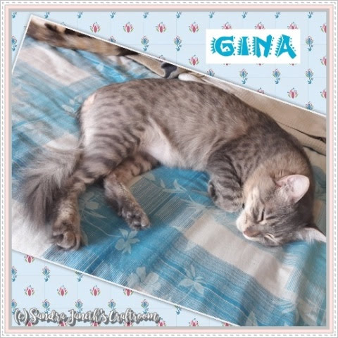 Gatos, Gina