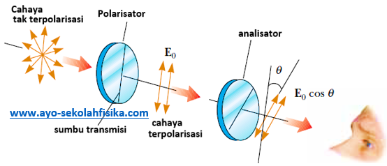 Polarisasi Dengan Penyerapan Absobsi Selektif Ayo Sekolah