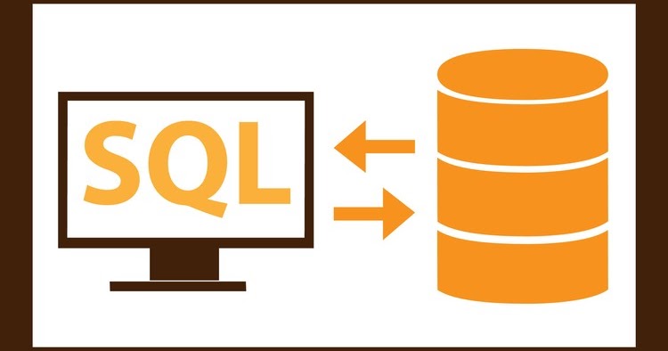 What is SQL? - Tech Spider