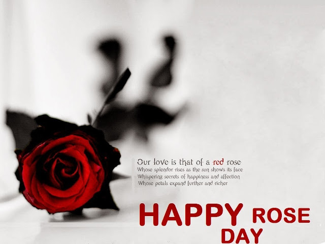 Rose Day Wishes, Messages , SMS, Quotes and Images Rose Day Wishes, Messages , SMS, Quotes and Images