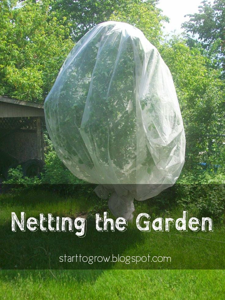 Insect Netting For Garden Bunnings Fasci Garden
