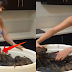 LOOK: This Busty Woman and Her Crabs Goes Viral, Find Out Here Why!