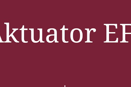 Actuator Pada Sistem Efi Beserta Fungsinya Masing-Masing