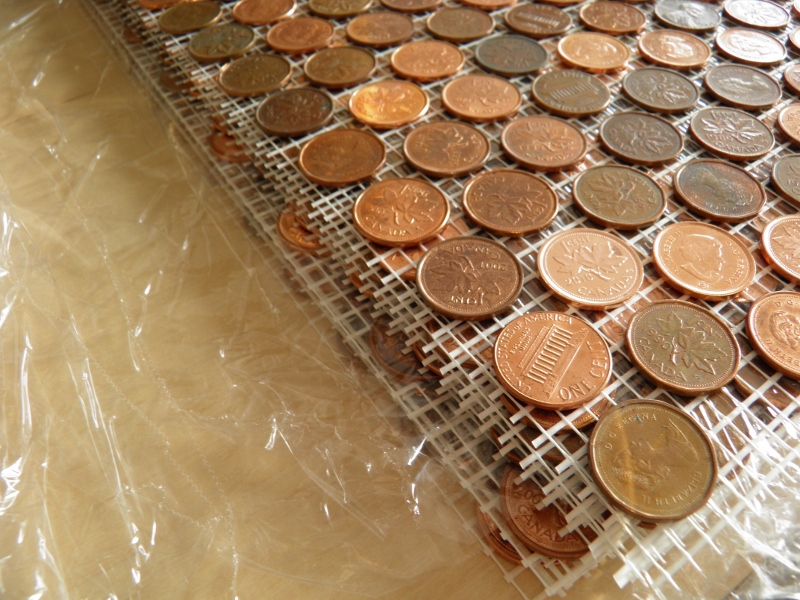 Adventures In Birding Sustaility Diy Extreme The Penny Wall Adventures In Birding Sustaility