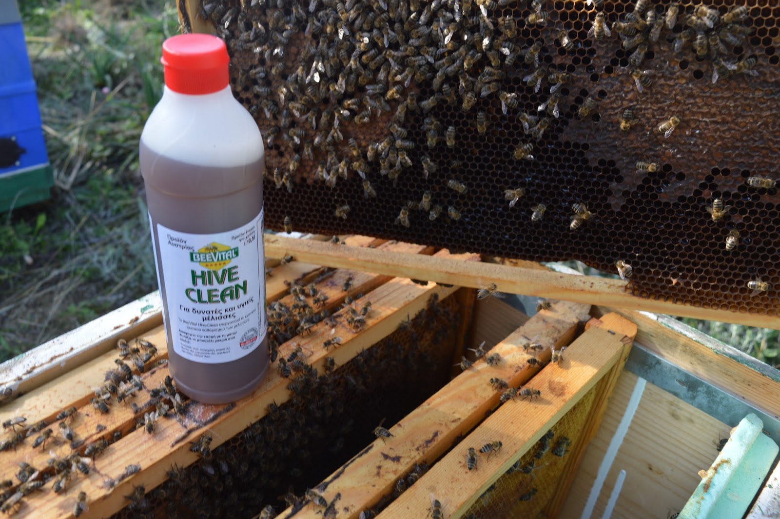 Ήρθε το HIVE CLEAN για καταπολέμηση βαρρόα όλες τις εποχές, εντελώς