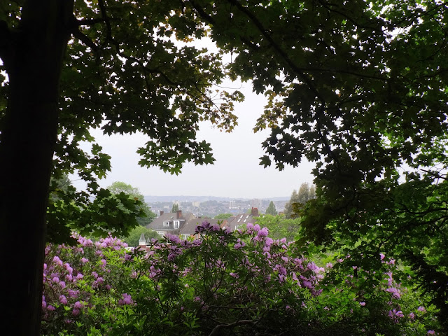 View_Golders Hill Park
