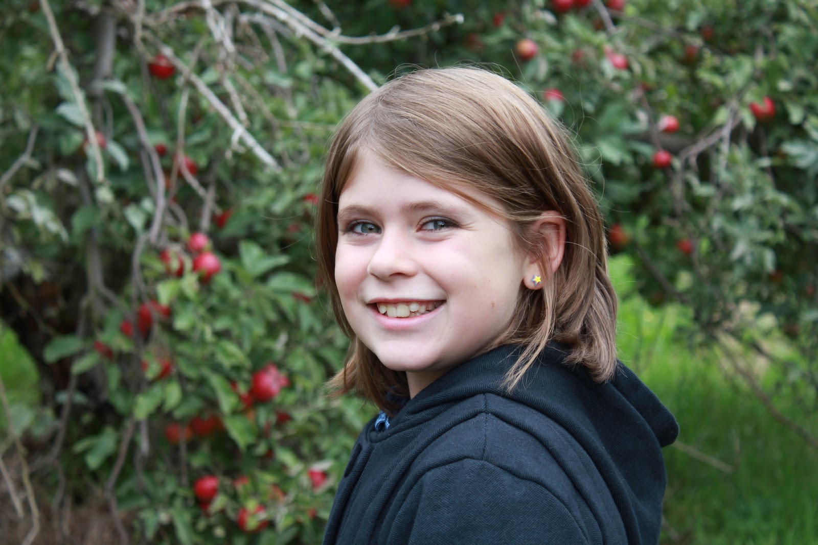 Convergence Apple Picking in the Adelaide Hills what joy!