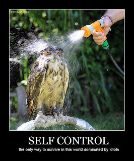 eule selbskontrolle gegen idioten dieser welt. owl self control idiots this world.